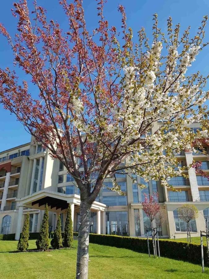 Lighthouse 3 Bedrooms Villa F36 Balchik Exterior foto
